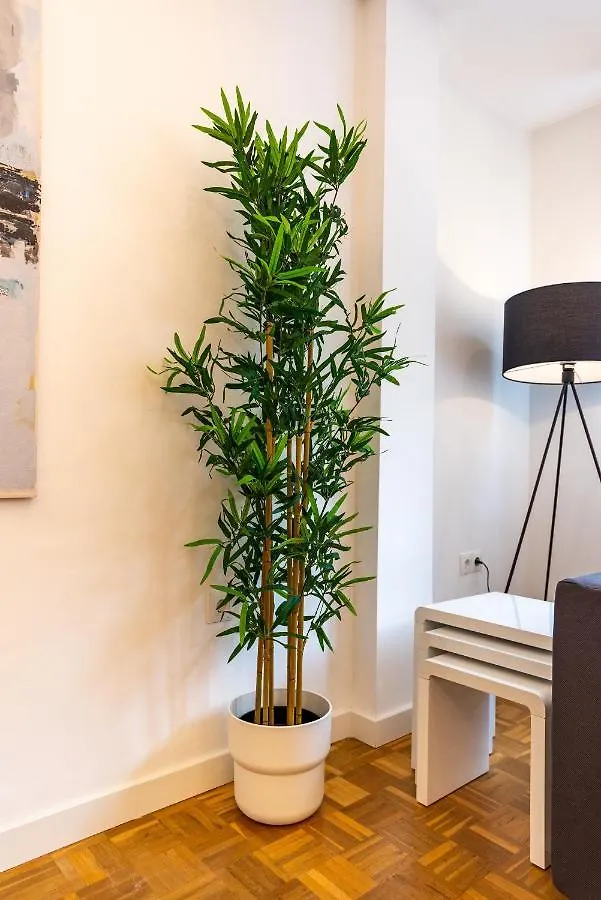 Luandcia Soho 3 Apartment Malaga Spain